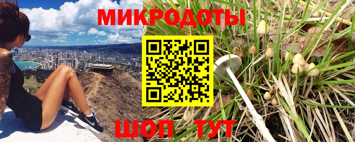 Гусь-Хрустальный  Псилоцибиновые грибы мицелий  Галлюциногенные грибы MAGIC MUSHROOMS  Вход с VPN 